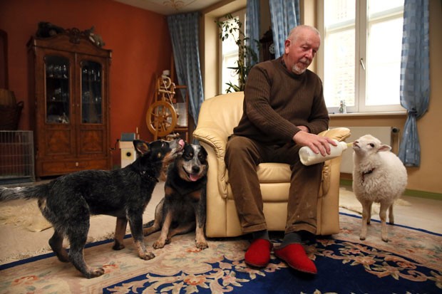 'Wally' ficou órfão após a morte de sua mãe. (Foto: Ulrich Perrey/AFP)