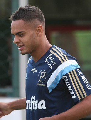 Palmeiras utiliza reta final do Brasileiro para avaliar atletas e integrar a base