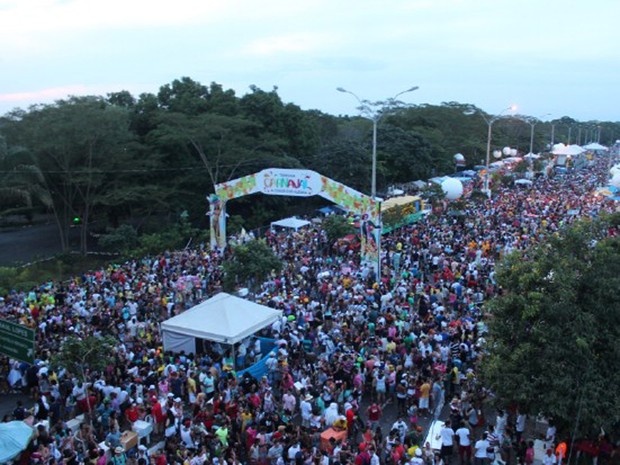 Corso de Teresina 2014 reúne 300 mil pessoas na av. Raul Lopes (Foto: Gil Oliveira/ G1 Piauí)