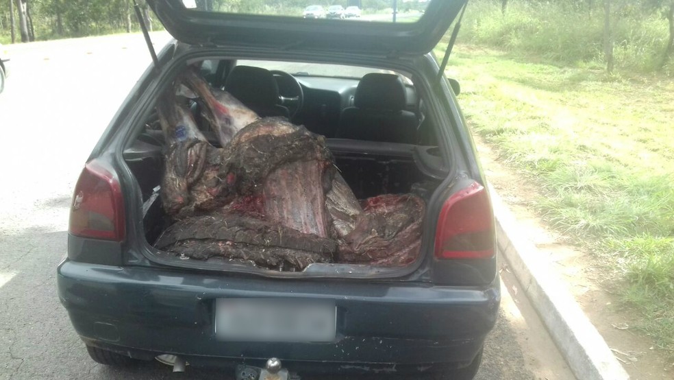 Carne saqueada era transportada em veículos de passeio (Foto: PRF/Divulgação)