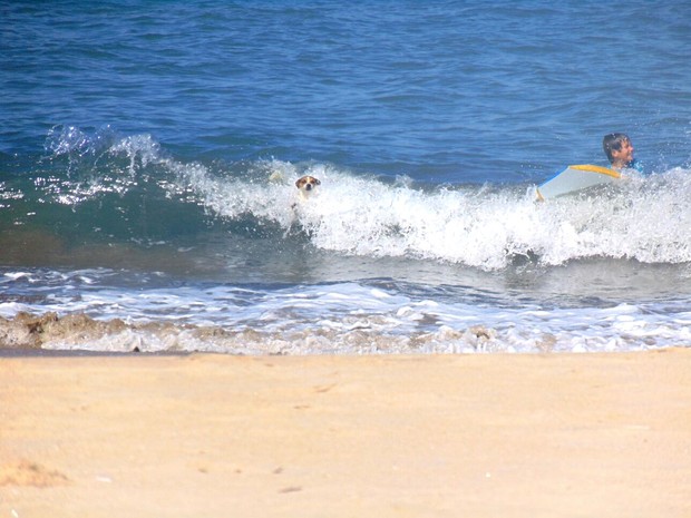 Cachorro aparece surfando sem prancha em praia de SP (Foto: Leonardo Nogueira / Arquivo Pessoal)