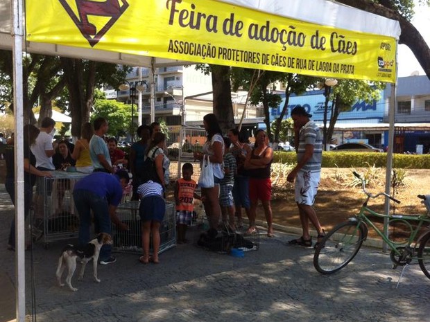 feira Lagoa da Prata (Foto: Protetores/Divulgação)