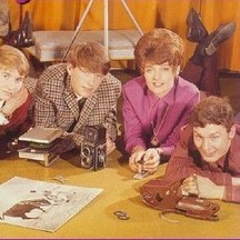 The Honeycombs
