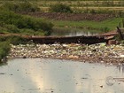 Três produtores serão investigados por poluição do Rio Gravataí, no RS
