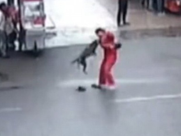 Cão enfurecido atacou 23 pessoas e causou pânico na China (Foto: Reprodução/YouTube)