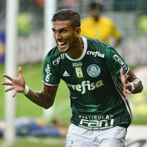 Rafael Marques Palmeiras (Foto: Marcos Ribolli)