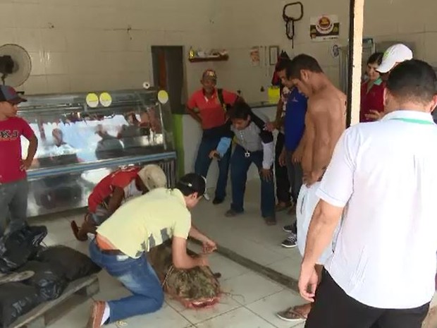 Animal chamou atenção de curiosos (Foto: Reprodução/Rede Amazônica Acre)