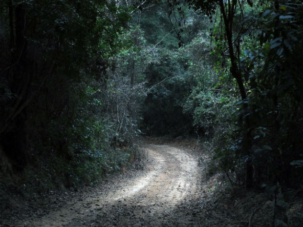 Participantes farão caminhada pela Trilha “Caminhos da Biodiversidade” (Foto: Zaqueu Proença)