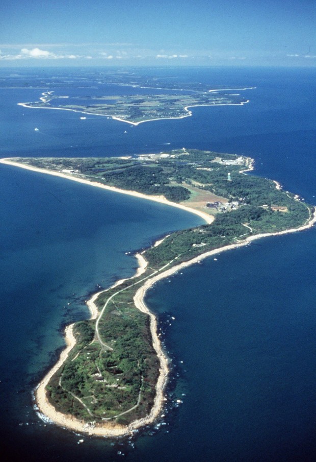 Ilha Plum, conhecida por servir de laboratório de experiências, foi colocada à venda pelo governo (Foto: Seth Wenig/AP)