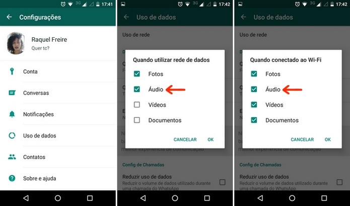 Download automático de áudio habilitado no WhatsApp (Foto: Reprodução/Raquel Freire)