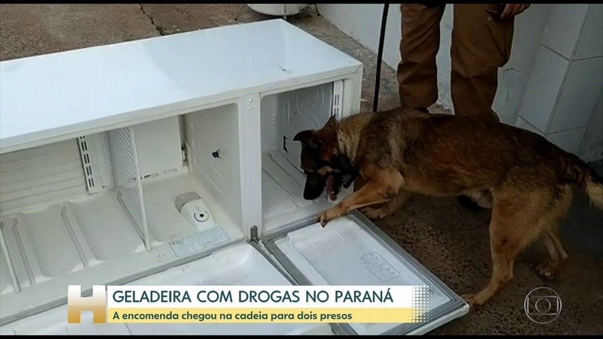 Geladeiras Drogas E Celulares Enviadas Para Presos S O Apreendidas