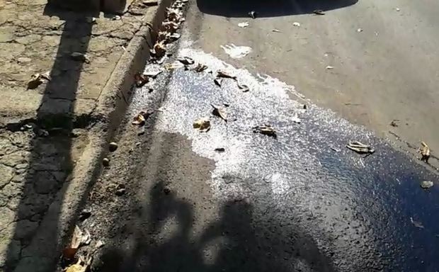 Vazamento de água em rua do bairro Vila Industrial em Piracicaba (Foto: José Valdir Sgrigneiro/VC no G1)