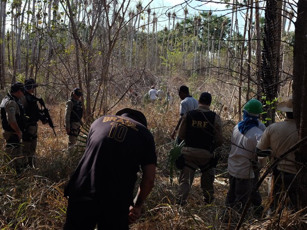 MPT resgata 17 trabalhadores em condições de trabalho análogas à escravidão (Foto: MPT/Divulgação)