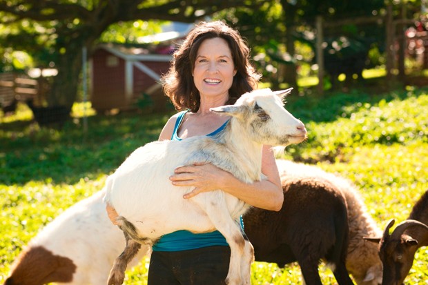 8 santuários de animais para visitar com a família (Foto: Divulgação) 8 santuários de animais para visitar com a família (Foto: Divulgação)