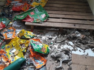 Alguns animais estavam dentro de sacos de ração (Foto: Reprodução/RBS TV) Alguns animais estavam dentro de sacos de ração (Foto: Reprodução/RBS TV)