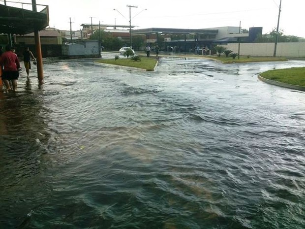 G Chuva De Meia Hora Derruba Rvores E Inunda Casas E Ruas Em