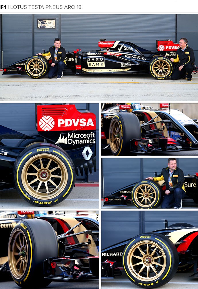 Mosaico - lotus pneu  (Foto: Editoria de Arte)