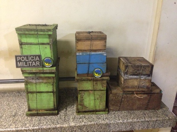 Pelotão Ambiental apreendeu caixas com abelhas (Foto: Júnia Vasconcelos/ Arquivo pessoal)