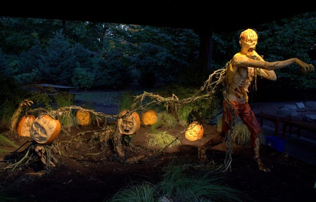 Fotos De Halloween Asustadoras Imagui