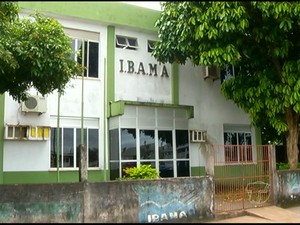 ibama (Foto: Reprodução/TV Tapajós)