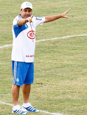 Gilson Kleina, Palmeiras (Foto: Gustavo Tilio)