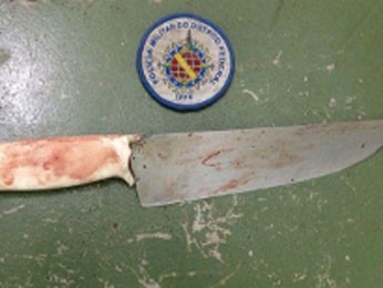 Faca usada por suspeito para matar ex-companheira em bar  (Foto: Polícia Militar/Reprodução)