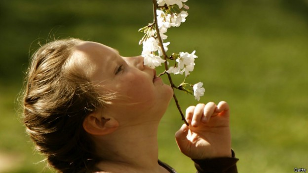 O cheiro doce de uma flor é resultado de uma combinação de diversos odores (Foto: Getty Images/BBC)