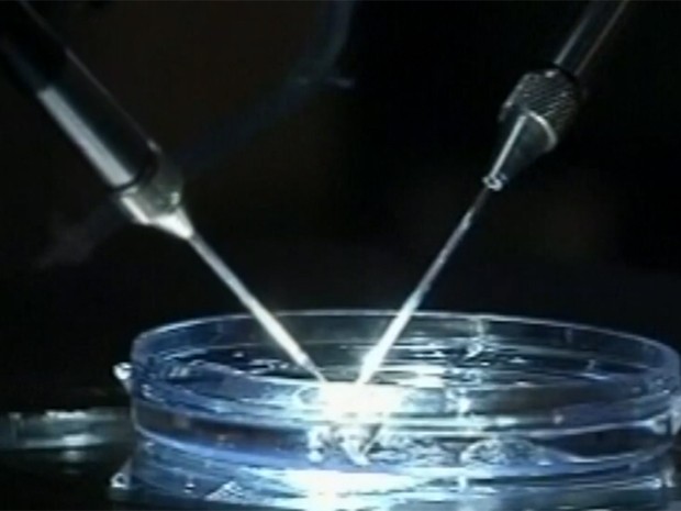Fertilização in vitro com três pais está sendo discutida pelo Reino Unido (Foto: Reprodução/TV Globo)