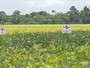 Bom Dia Amazônia: cultivo de soja aumentou 70% em Rondônia