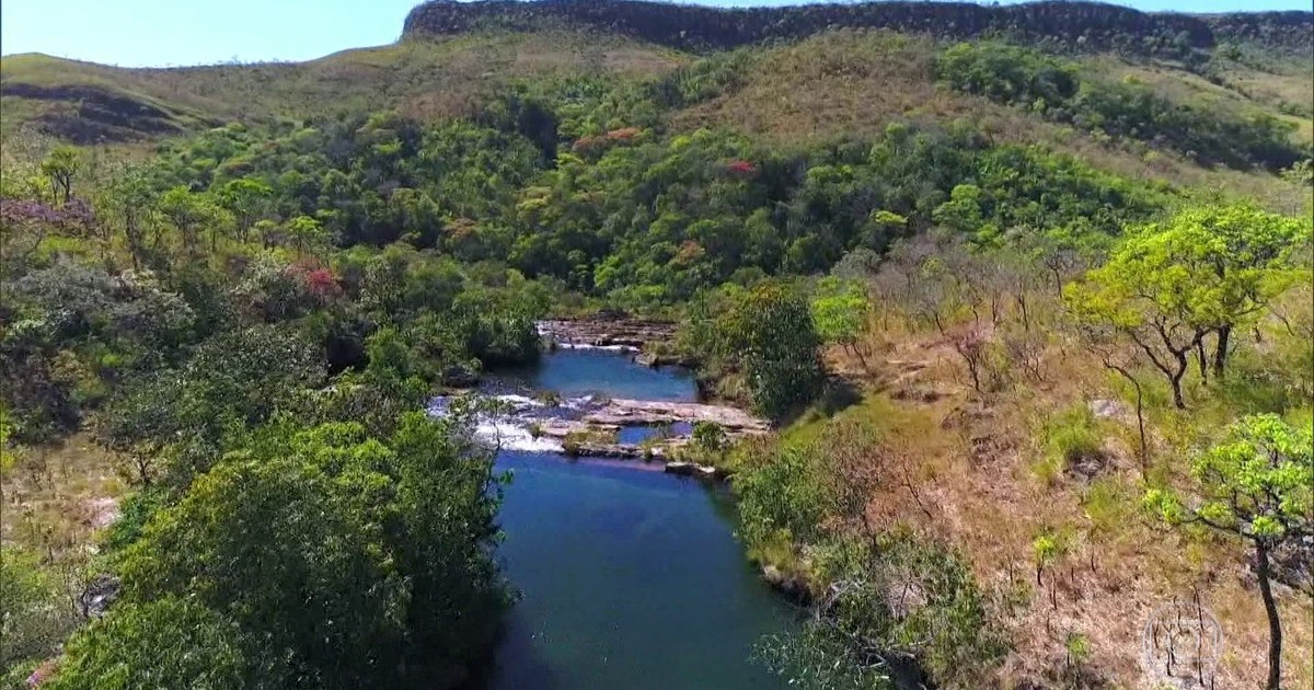 Resultado de imagem para Chapada dos Veadeiros renasce após maior incêndio da história do parque