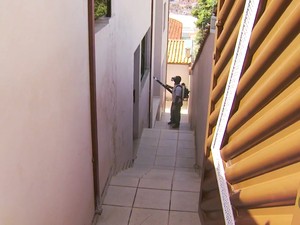 Agentes percorrem imóveis com fumacê em Três Corações (MG) (Foto: Reprodução EPTV/Tarciso Silva)