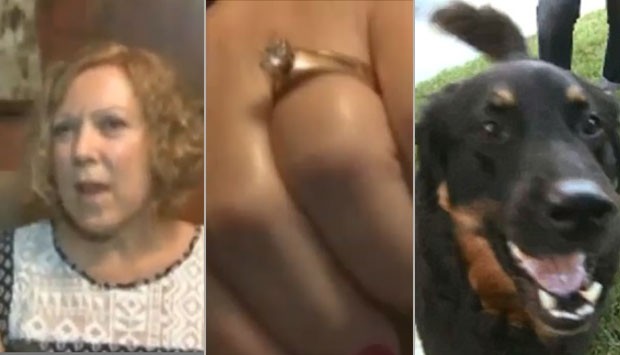 Cão vomitou anel de diamantes que estava sumido havia cinco anos (Foto: Reprodução/YouTube/NewsBeatsNow)