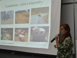 Mdica veterinria e pesquisadora da Embrapa Sunos e Aves, Virgnia Santiago Silva, no Showtec (Foto: Anderson Viegas/G1 MS)