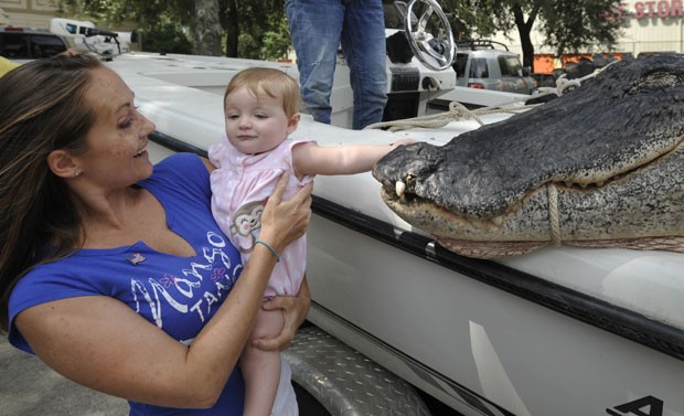 Ally Labar mostra para a filha de sete meses, Eva Goguen, o enorme jacaré (Foto: Will Dickey/The Florida Times-Union/AP)