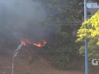 Incêndio em vegetação se alastra por área da Av. Centenário, em Salvador