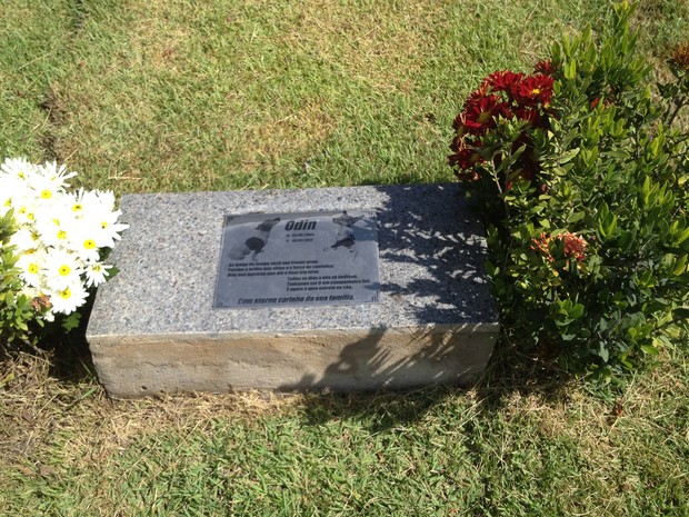 A poodle ‘Odim’ também está enterrada no cemitério. Sua dona, Sara Câmara, mantém o túmulo da cadela sempre limpo Teresina (Foto: Gilcilene Araújo/G1)