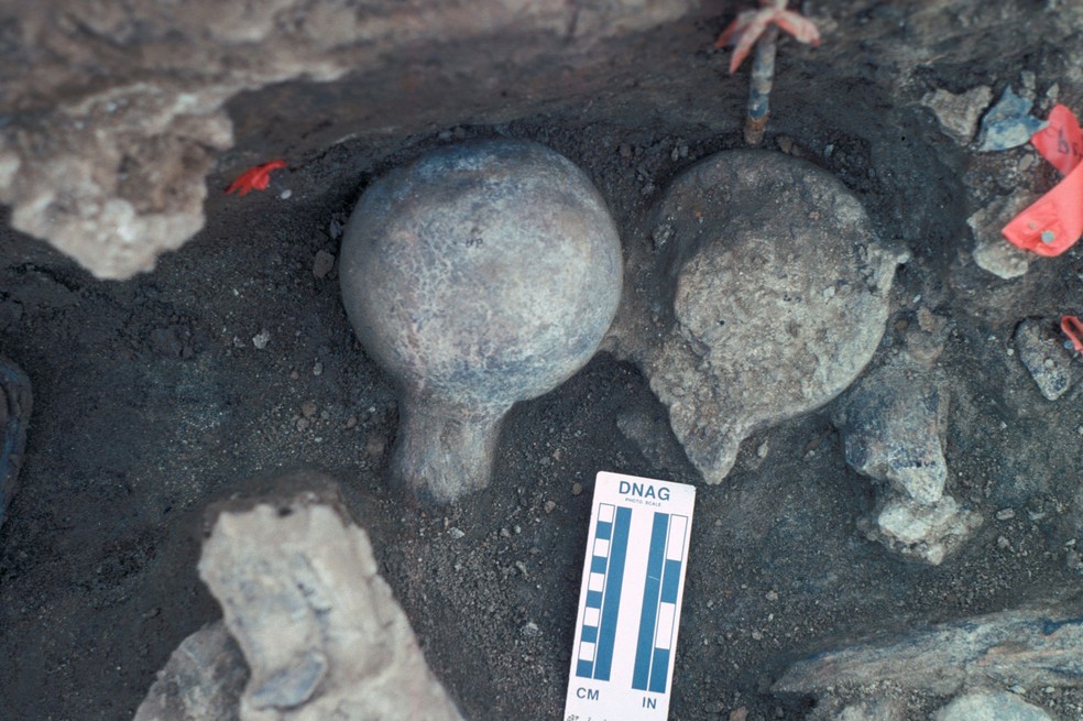  Pedaços de fêmur de mastodonte são vistos em sítio arqueológico na Califórnia  (Foto: San Diego Natural History Museum)