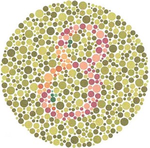 Teste de daltonismo (Foto: reprodução EPTV)