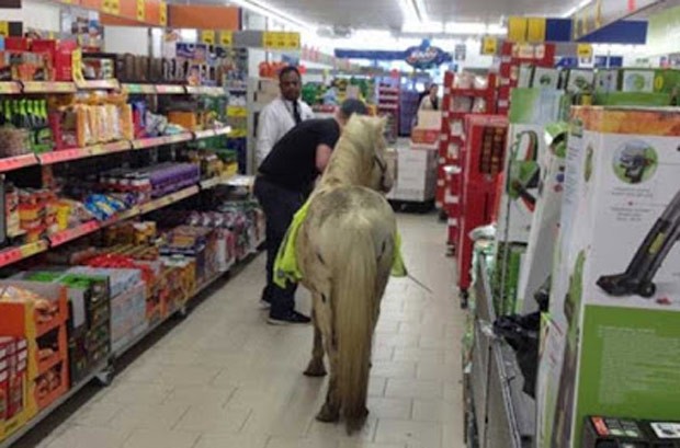 Homem surpreendeu outros clientes ao entrar com pônei em supermercado (Foto: Reprodução/Twitter/Rachael Hook)
