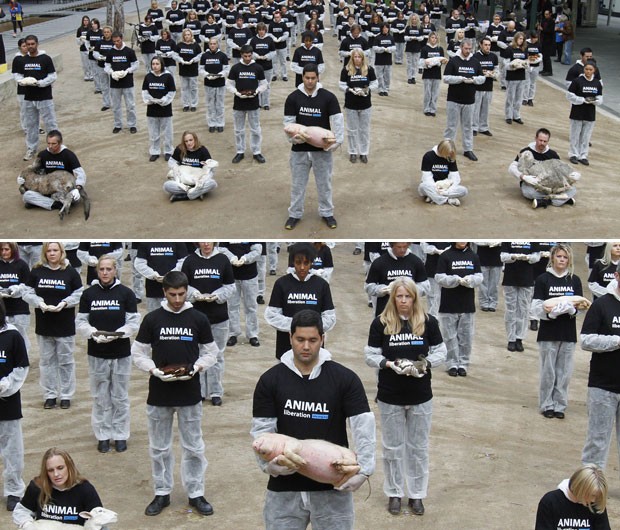 Grupo protesta com animais mortos em cidade australiana (Foto: AFP/Animal Liberation Victoria)