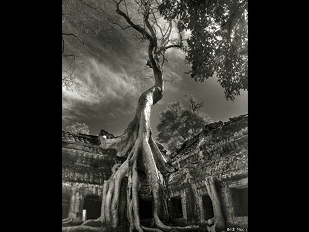 Templos de Angkor, no Camboja, se mantêm de pé há cerca de mil anos; natureza retomou o local que abrigava uma civilização humana - a cidade sob as árvores (Foto: Beth Moon/BBC) Templos de Angkor, no Camboja, se mantêm de pé há cerca de mil anos; natureza retomou o local que abrigava uma civilização humana - a cidade sob as árvores (Foto: Beth Moon/BBC)