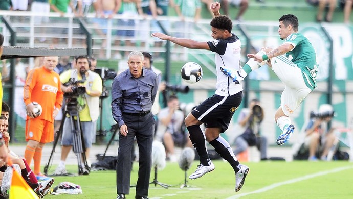 Comentarista detona desempenho do goleiro do Verdão em pênaltis - Portal do  Palmeirense