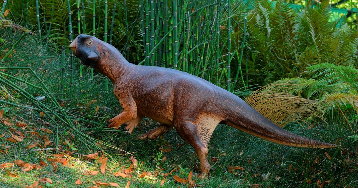 G1 - Cientistas decifram cor de dinossauro que viveu há 120 milhões de ...