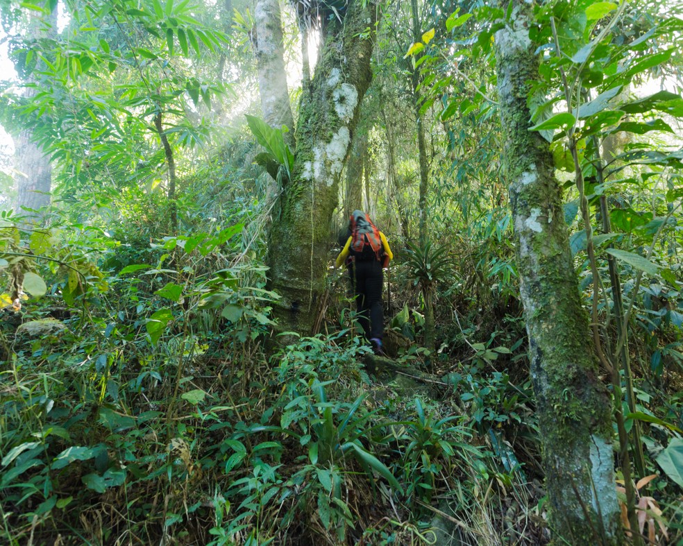 Autor retrata o parque nos seus diversos ângulos (Foto: Arquivo Pessoal | Gustavo Pedro)