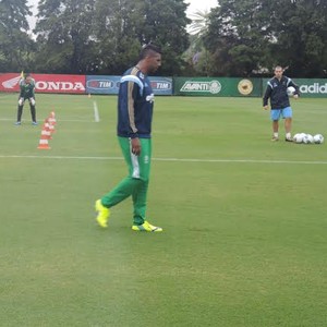 Aranha trabalha com goleiros, e Arouca participa de coletivo no Verdão