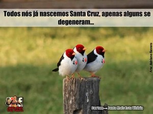 Santa Cruz memes (Foto: Internet)