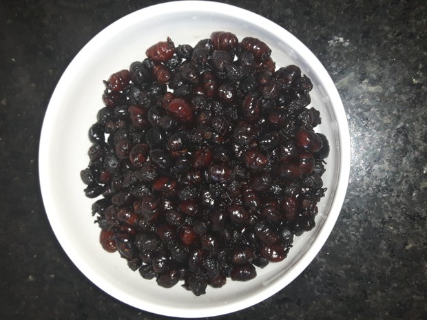 Ingrediente principal da terceira receita são formigas do tipo içá  (Foto: Júlia Groppo/G1)