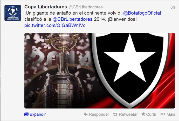 Copa Libertadores - Botafogo (Foto: Reprodução / Twitter)