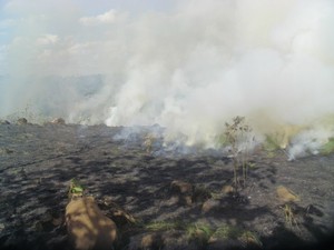 Período da estiagem associado ao calor motivam aumento (Foto: Sema/Divulgação)