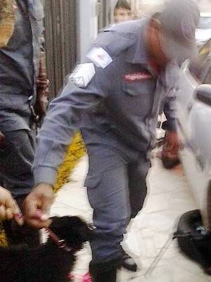 Cachorro foi resgatado pelo Corpo de Bombeiros em São Lourenço (Foto: Luiz Fernando da Silva)